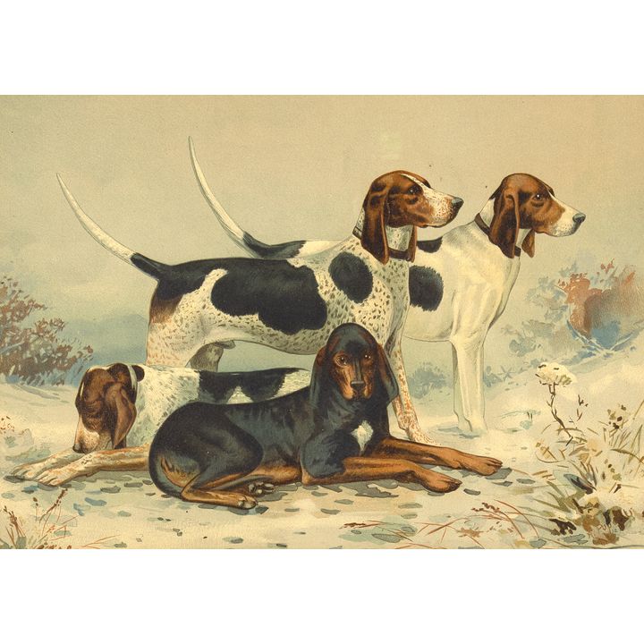 Alexander Pope (1849-1924), English Pointers