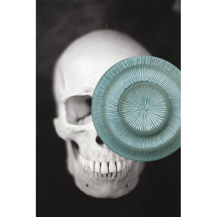 Gavin Hipkins 'Tender Buttons (Skull)'