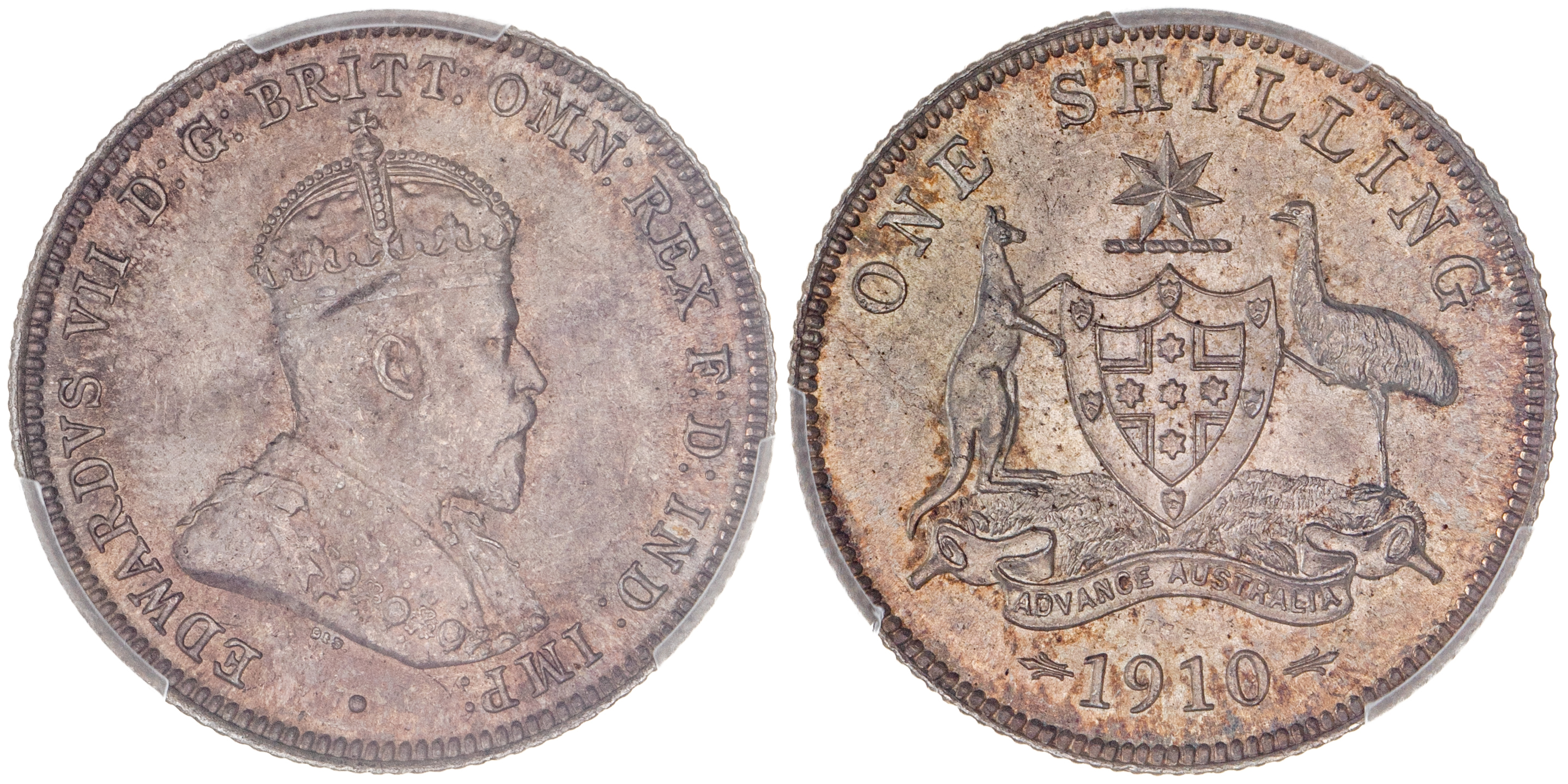 Edward VII, Shilling, 1910, PCGS MS 65+