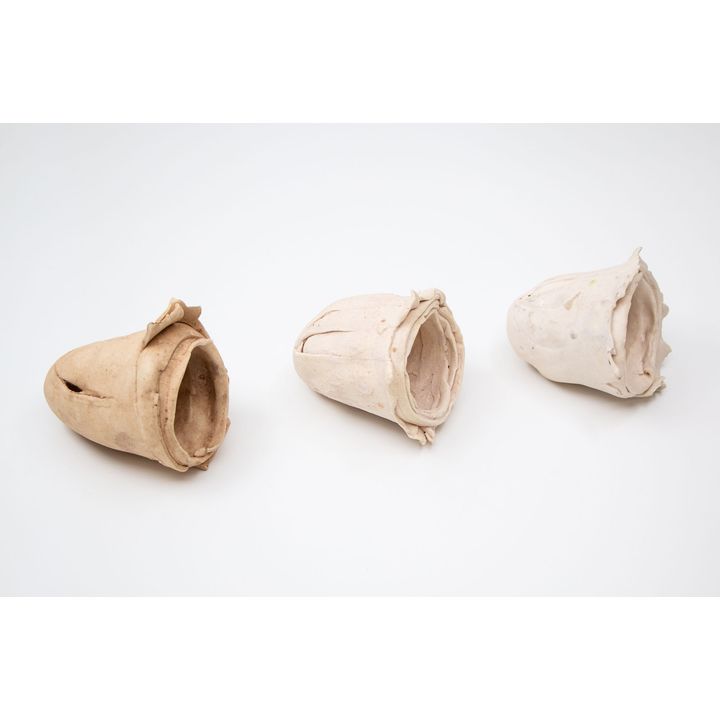 Christine Boswijk - Three small pods