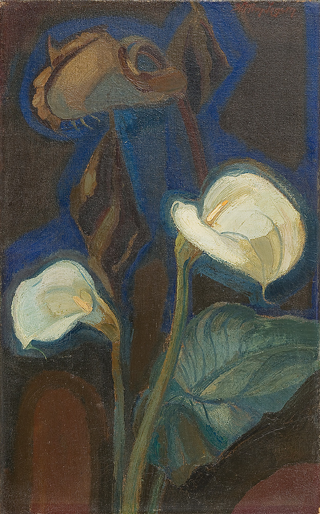 Image cover