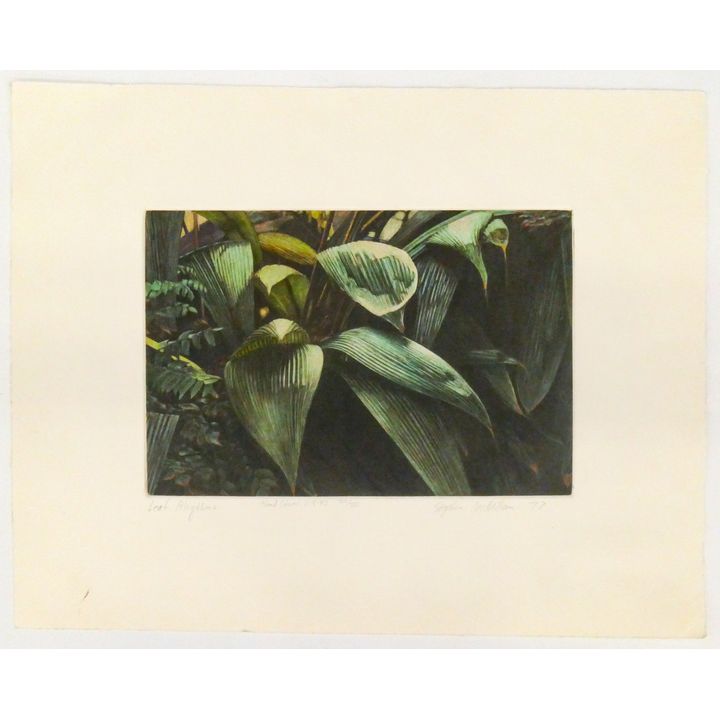 Stephen McMillan ''Leaf Rhythms'' 1977 Engraving