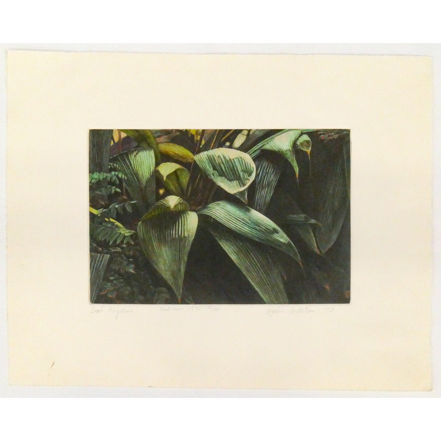 Stephen McMillan ''Leaf Rhythms'' 1977 Engraving