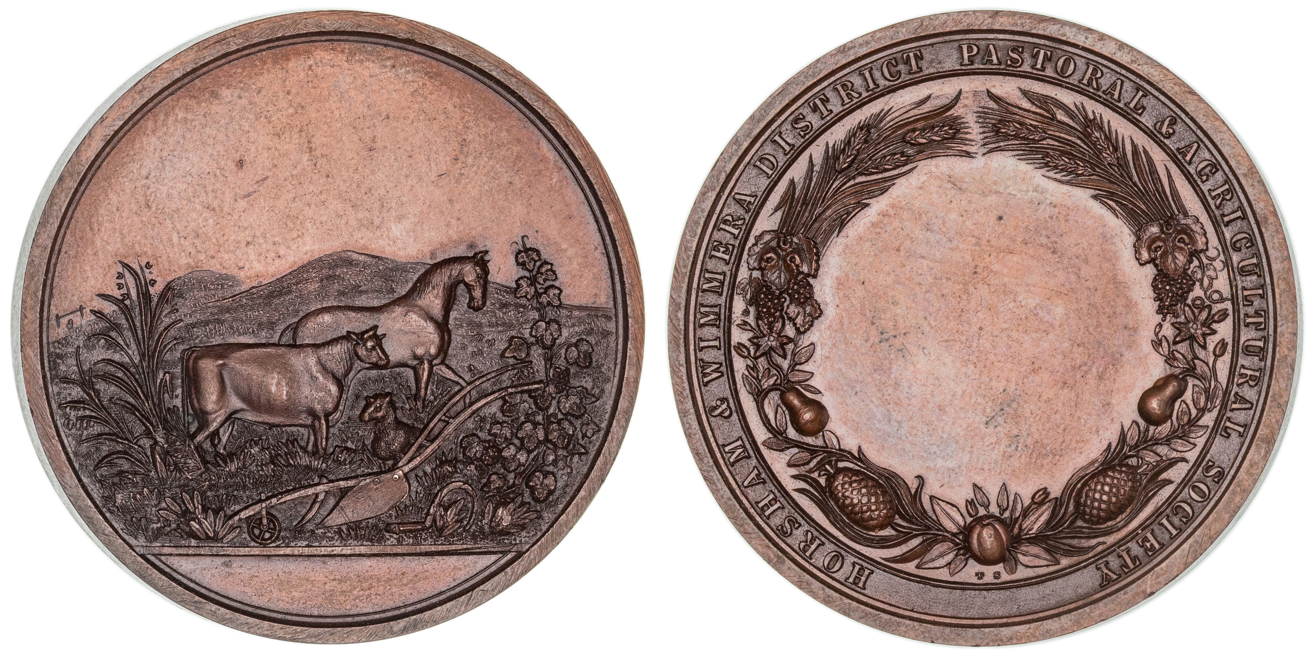 Horsham & Wimmera District Pastoral & Agricultural Society, Vic., Bronze Award Medal, c.1900, EF