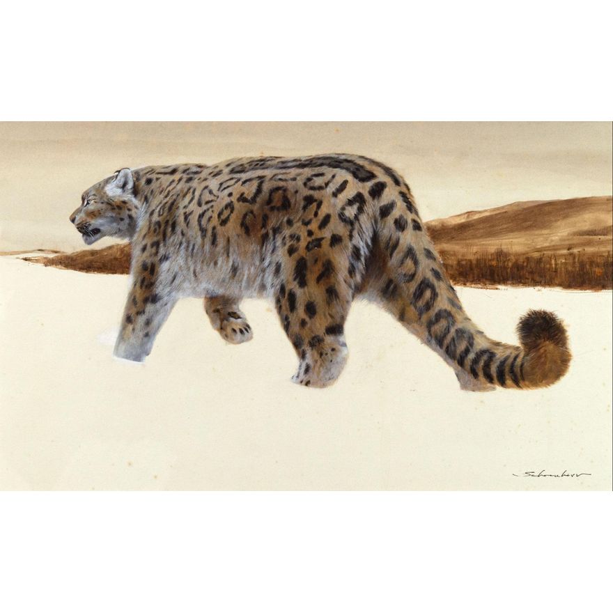 John Schoenherr (1935-2010) Snow Leopard
