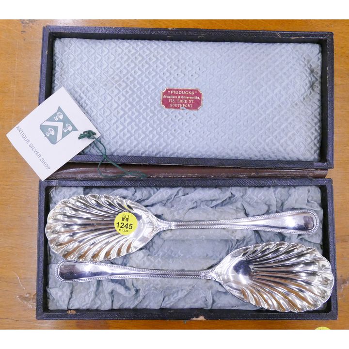 Pair English SP Serving Spoons in Case- 9''