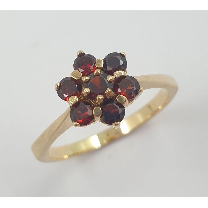 9ct Y/G Garnet Ring