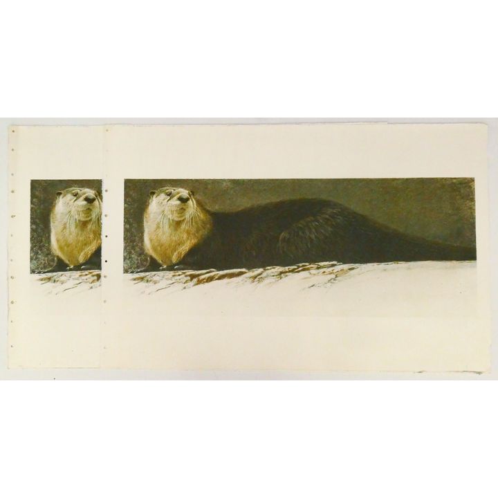 2pc Robert Bateman Otter Test Prints w/ Reverse Forest Scene Test Print