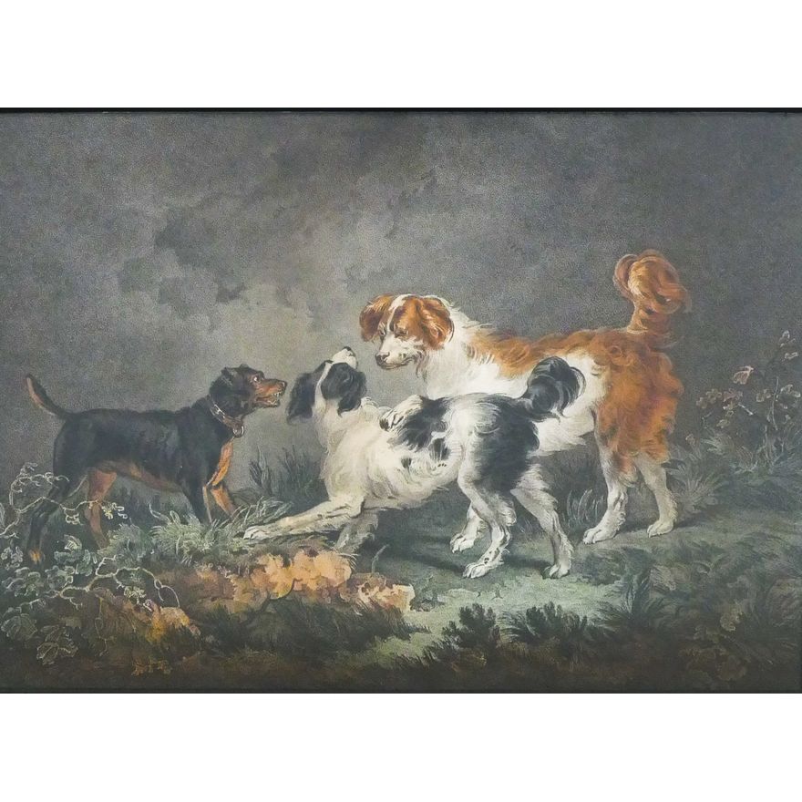 Antique Dogs Colored Engraving Gilt Framed- 23x28''