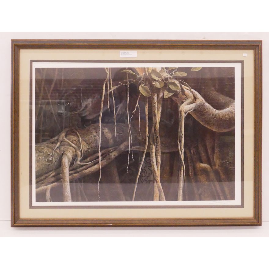 John Seerey Lester S/N Puma Print- 29x40'' framed