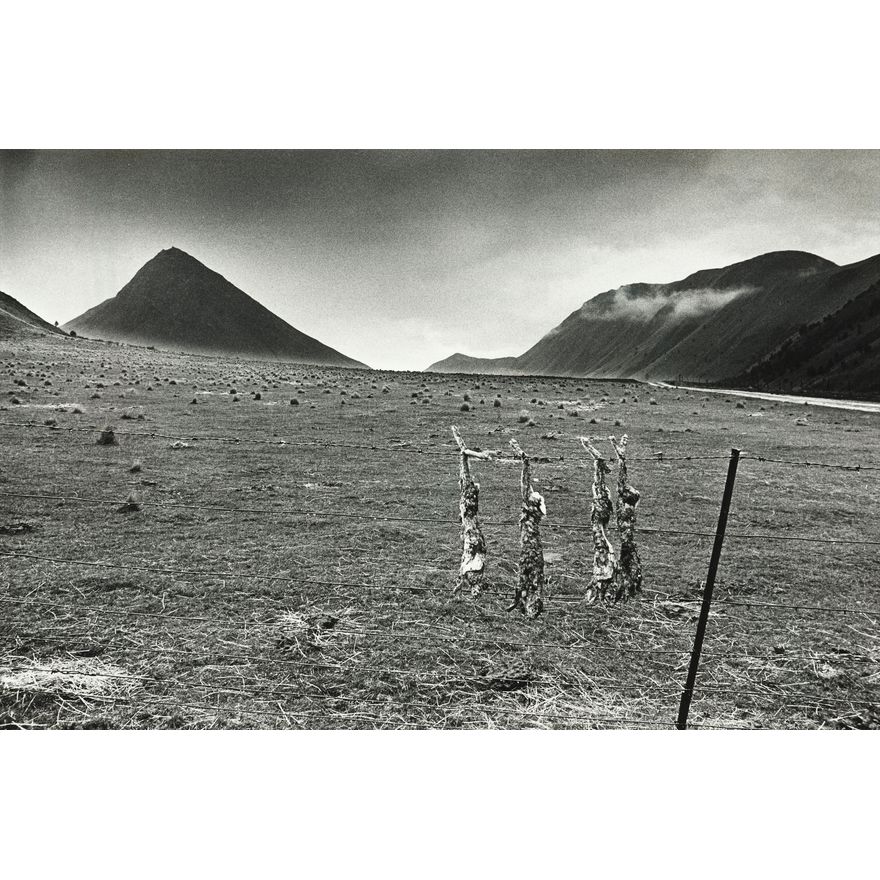 Len Wesney 'Moke Lake (Rabbits), Otago, 1971'