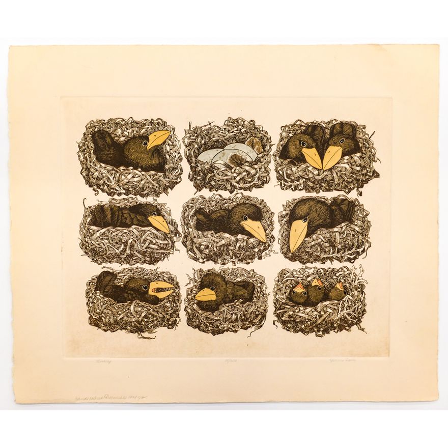 Yvonne Davis ''Rookery'' S/N Hand Colored Etching Sheet 15''x17.75''.