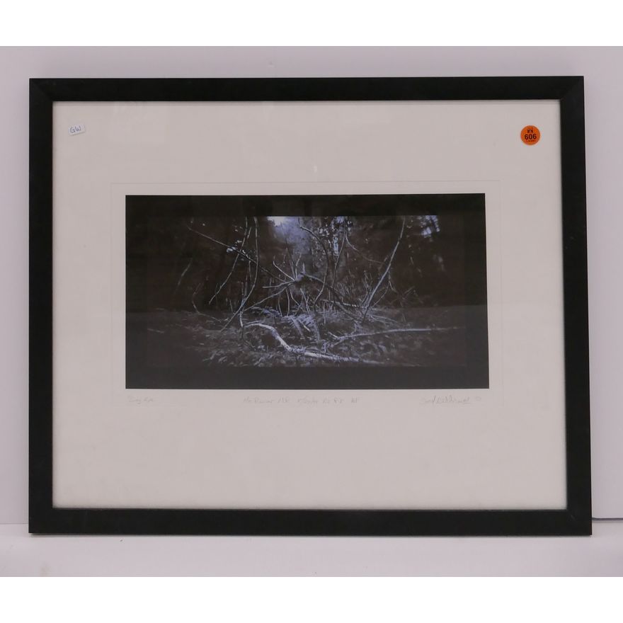 Ford Gilbreath 'Dog Eye Mount Rainier' S/N Inkjet Print- Framed 18x21''