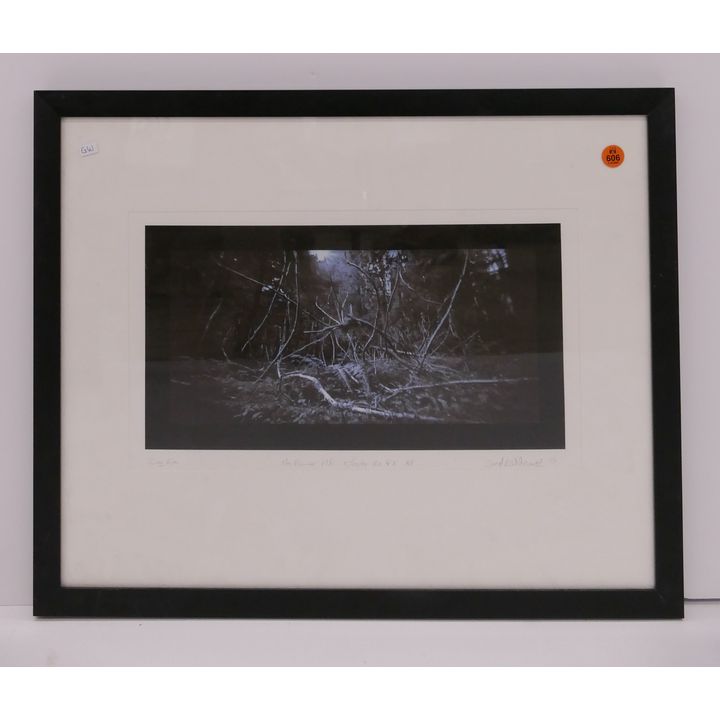 Ford Gilbreath 'Dog Eye Mount Rainier' S/N Inkjet Print- Framed 18x21''