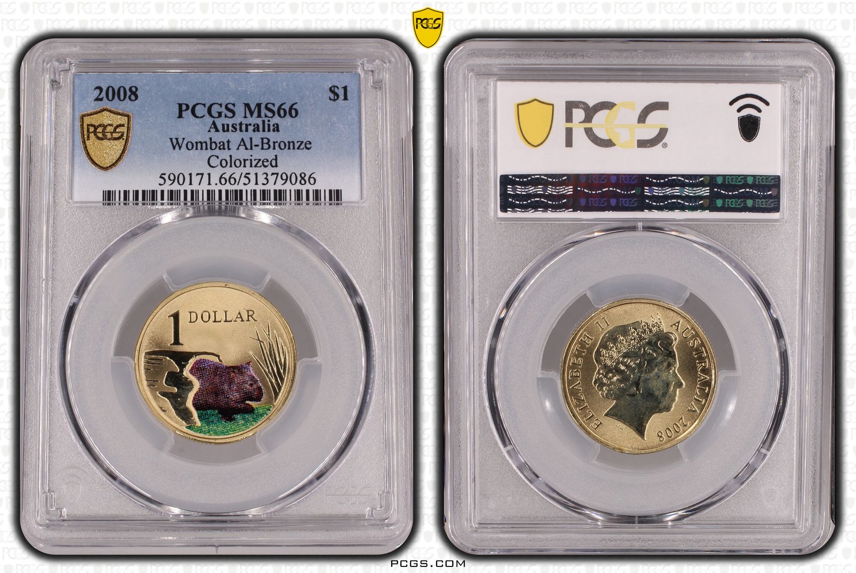 Wombat Al-Bronze, One Dollar, 2008, PCGS MS66