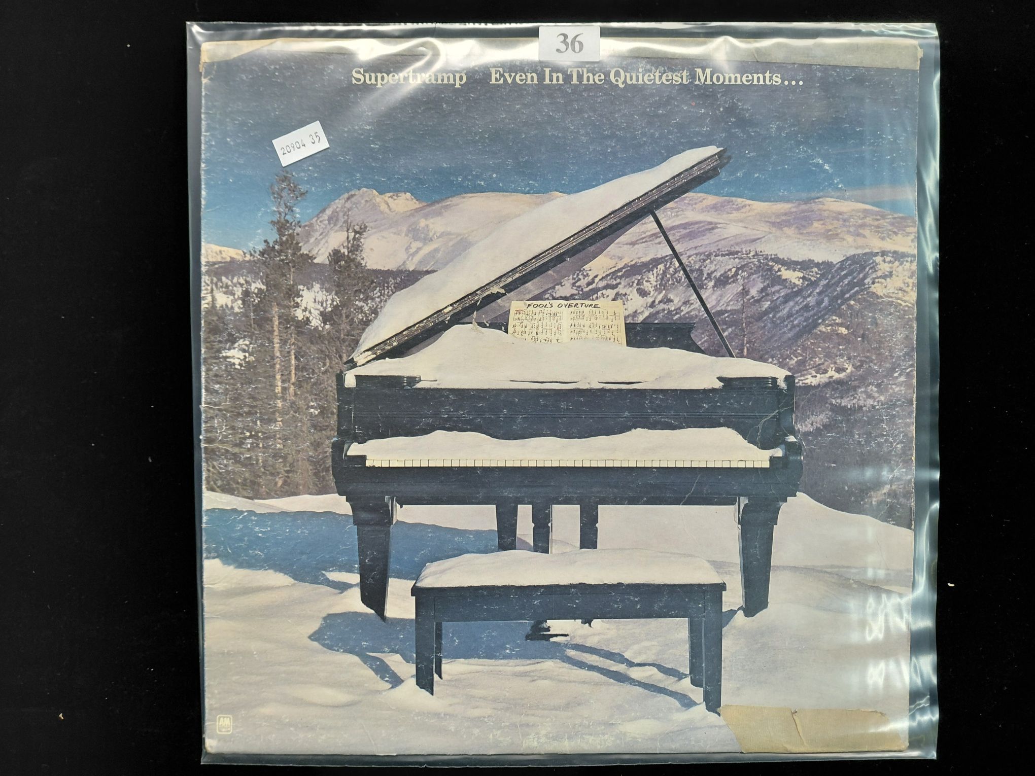 36 · SUPER TRAMP