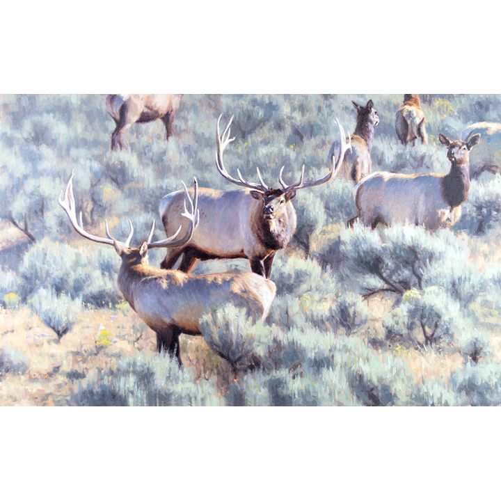 Kyle Sims (1980- ), Mammoth Showdown