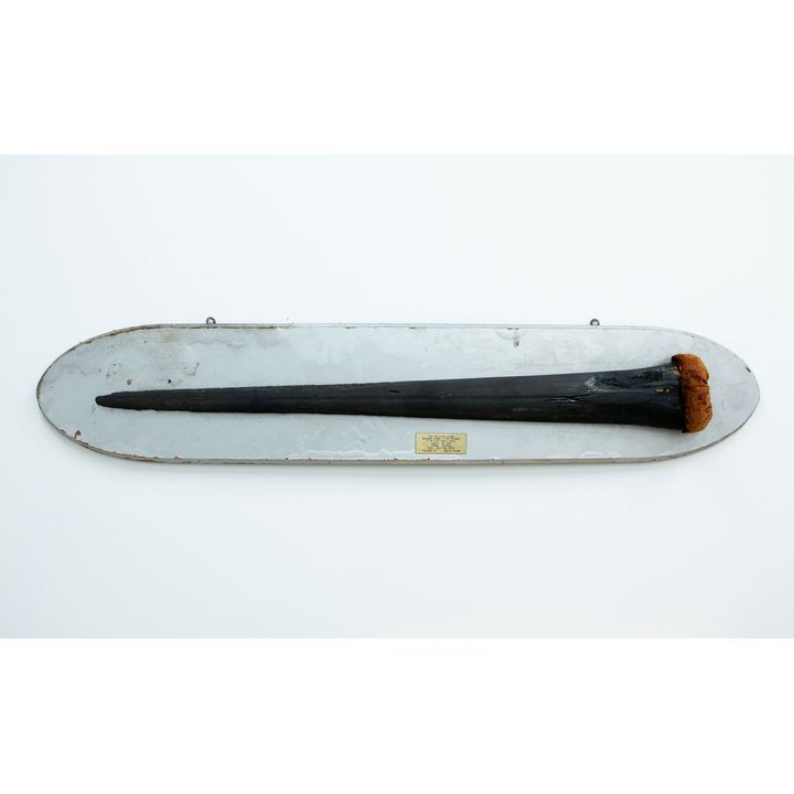 Sword Fish Spike