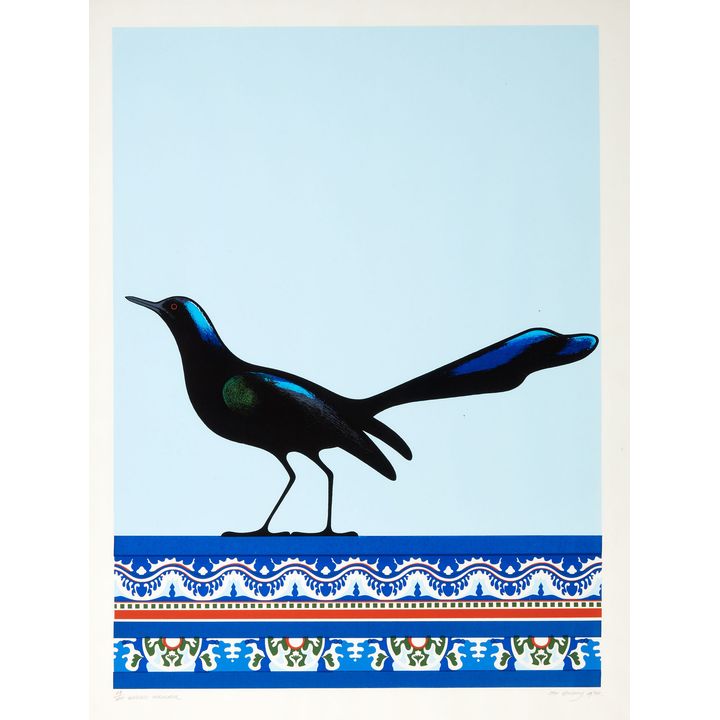 Don Binney 'Grackle, Veracruz '
