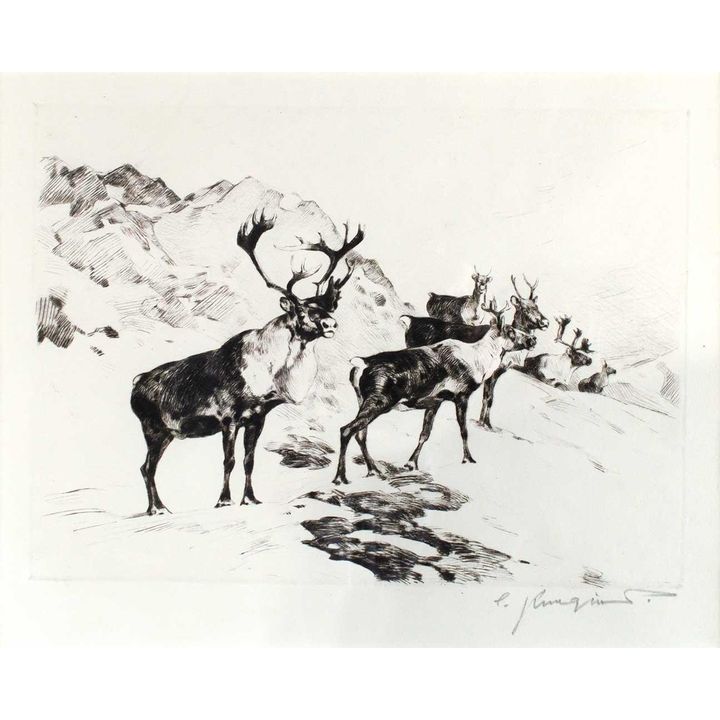 Osborne's Caribou by Carl Rungius (1869-1959)