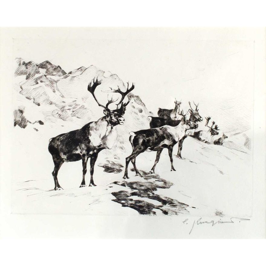 Osborne's Caribou by Carl Rungius (1869-1959)