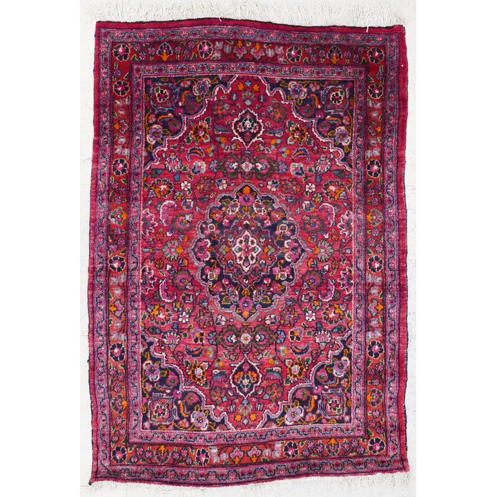 Persian Medallion Oriental Rug- approx 4x6'