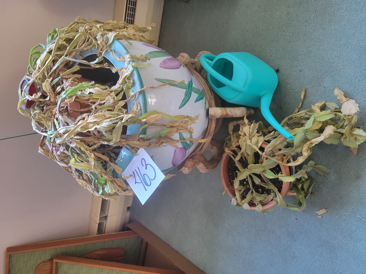 Flower pots and plants in need of help Midwest Auctions, LLC