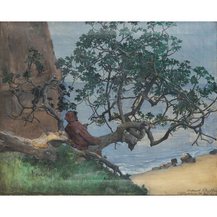 Richard Pfeiffer | Widok z Terraciny, 1905 r.