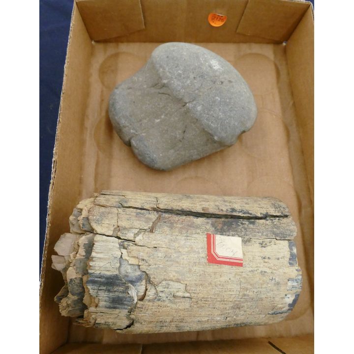 Box Mastodon Tusk Fragment and Stone Axe Head