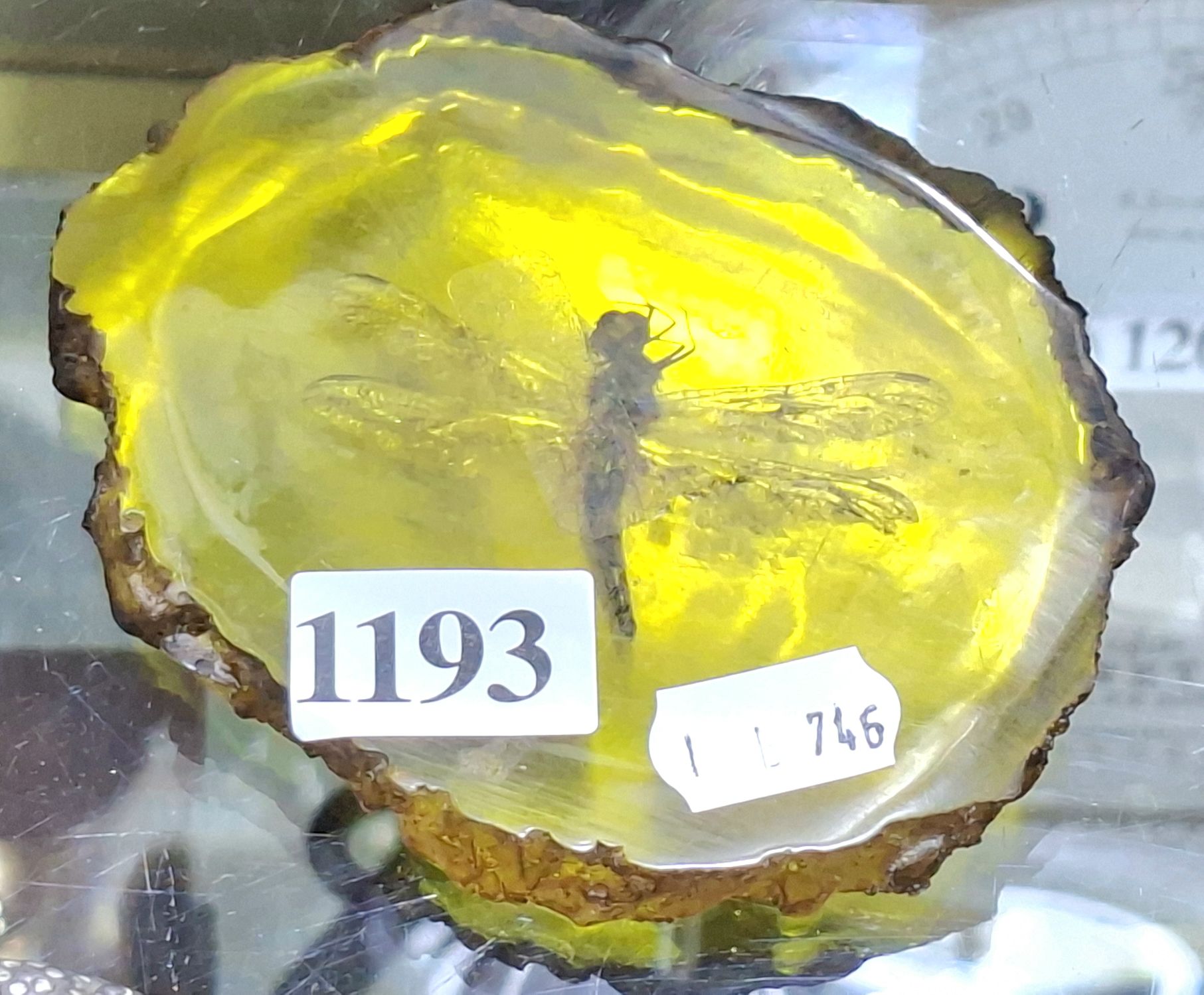 1193 · INSECT IN AMBER REPLICA