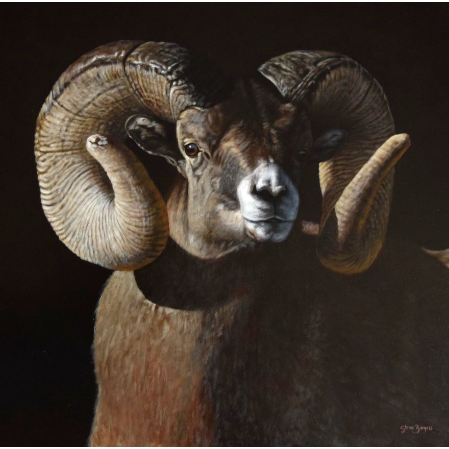Steve Burgess (1960- ), Majestic