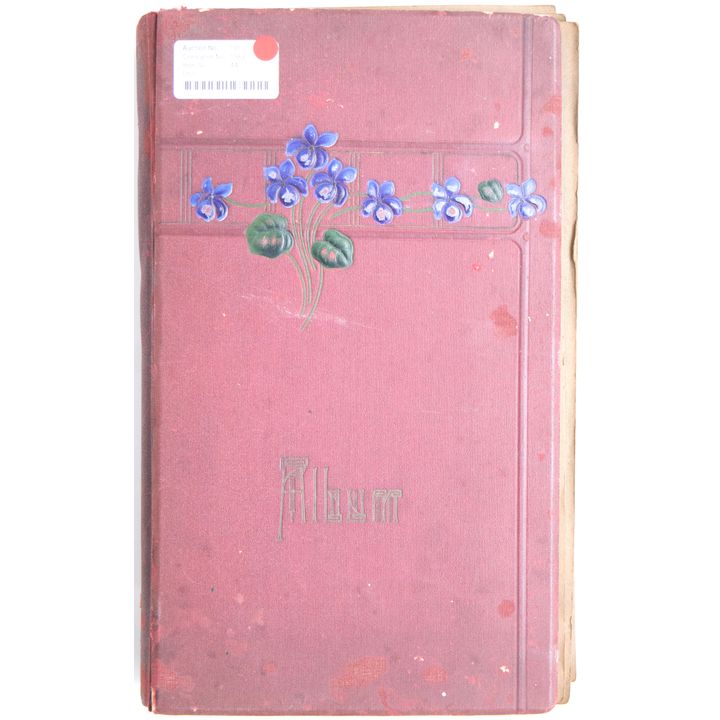 World, Edwardian Postcard Album, 1900 - 1910, VG - VF