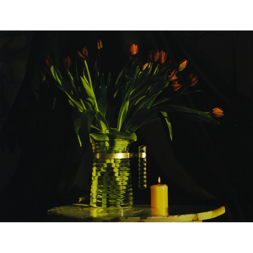 Fiona Pardington 'Still Life with Laszlo's Wilting Tulips'