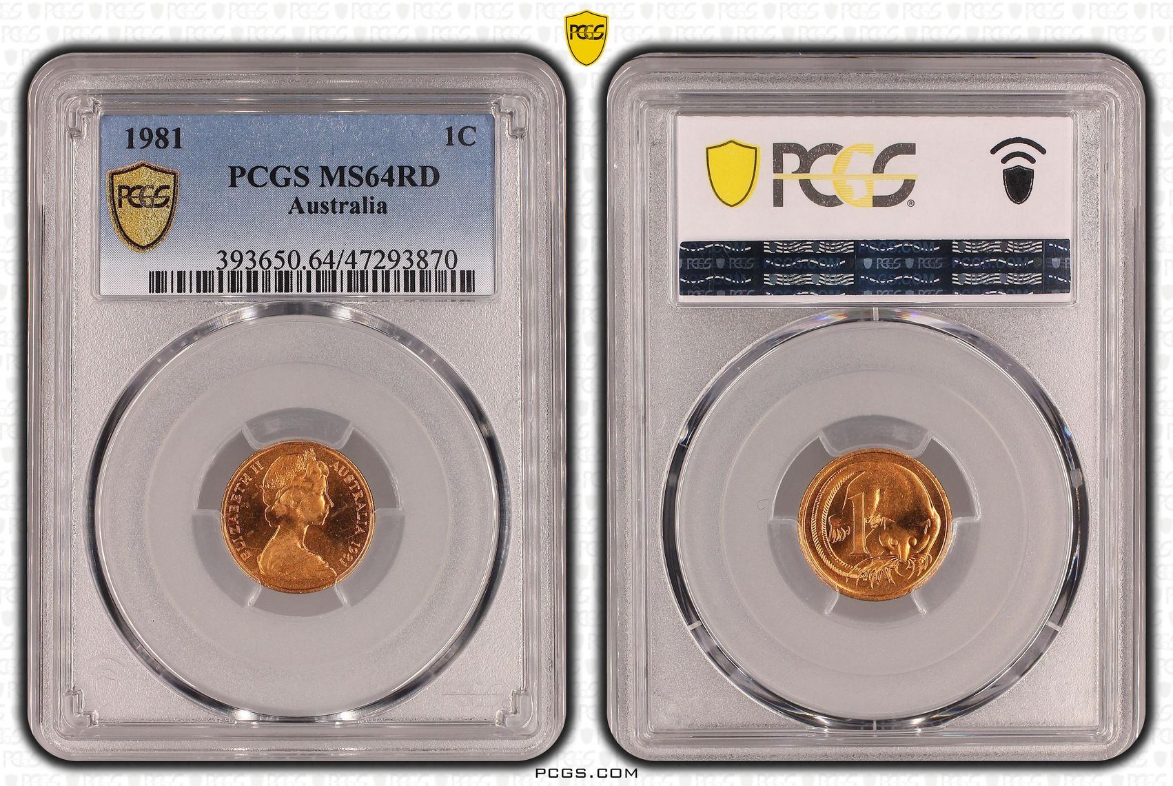 Elizabeth II, One Cent, 1981, PCGS MS64RD