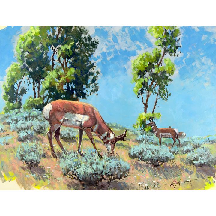 Pronghorn by Harold Hopkinson (1918-2000)