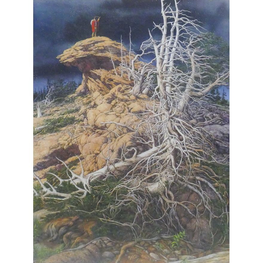 Bev Doolittle "Prayer for the Wild Things" S/N Print Framed 39" x 32"