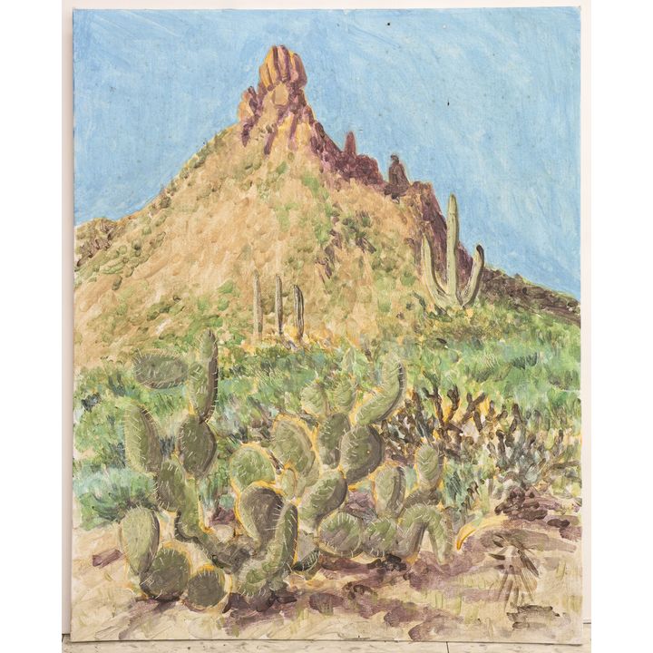 Byron Gardner ''Cactus Landscape'' Oil on Canvas Board 20''x16'' - Unsigned