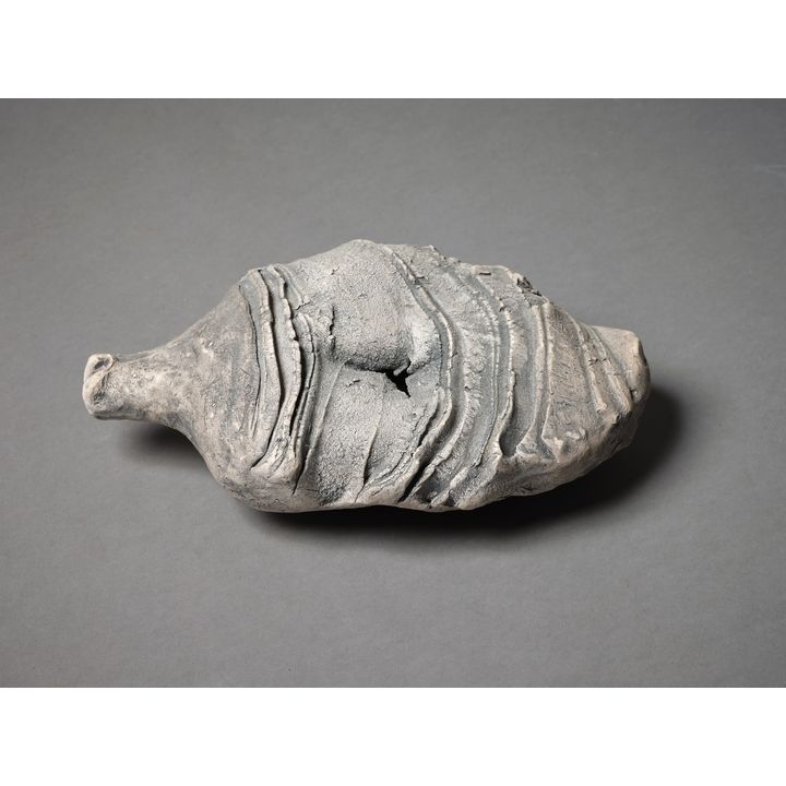 Len Castle - Fossil bottle form