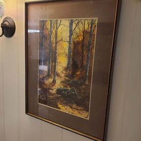 Neva Fisher Framed Art - Trees in the Fall with Sunlight