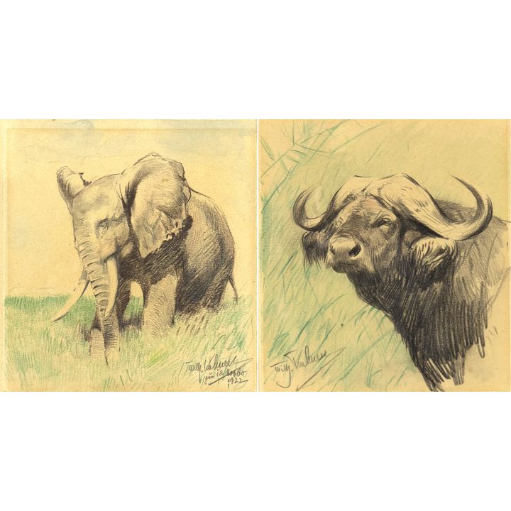 Wilhelm Kuhnert (1865-1926), Elephant & Buffalo (pair)