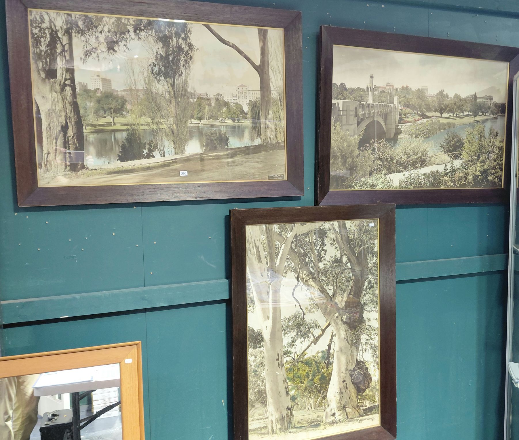 3 Large Framed Photographs