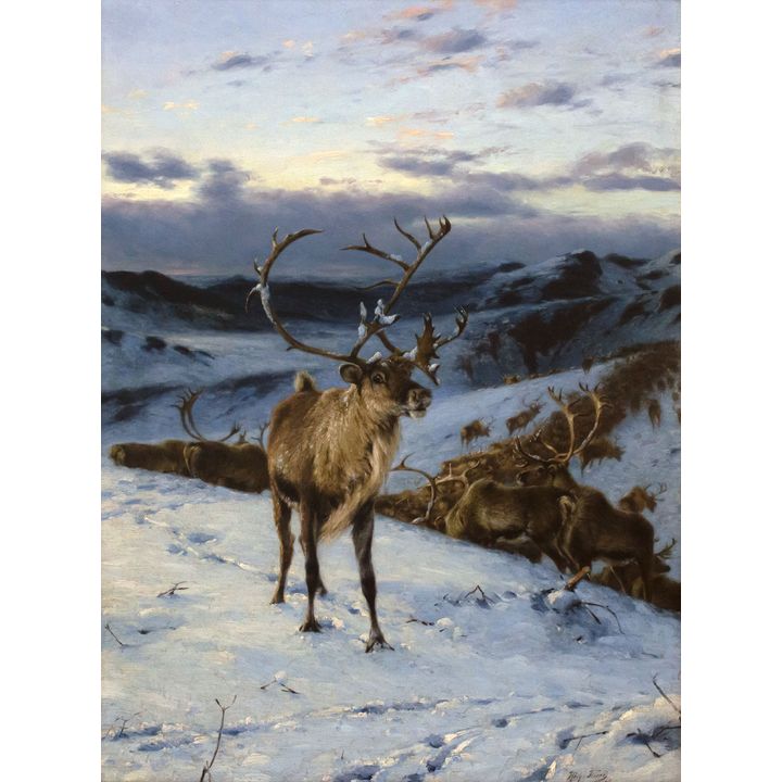 Richard Friese (1854 - 1918), Untitled (Caribou in Winter)