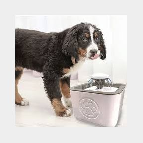2.5L Dog Cat Automatic Pet Water Fountain White |