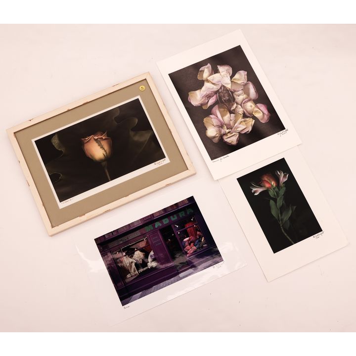 4pc Jack Welpott ''Flower and Paris'' C-Prints