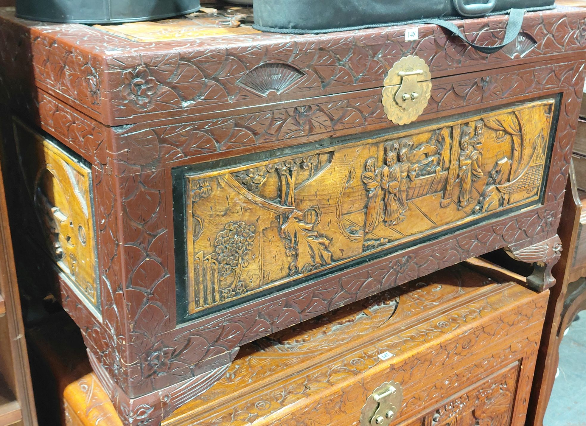 Camphorwood Trunk