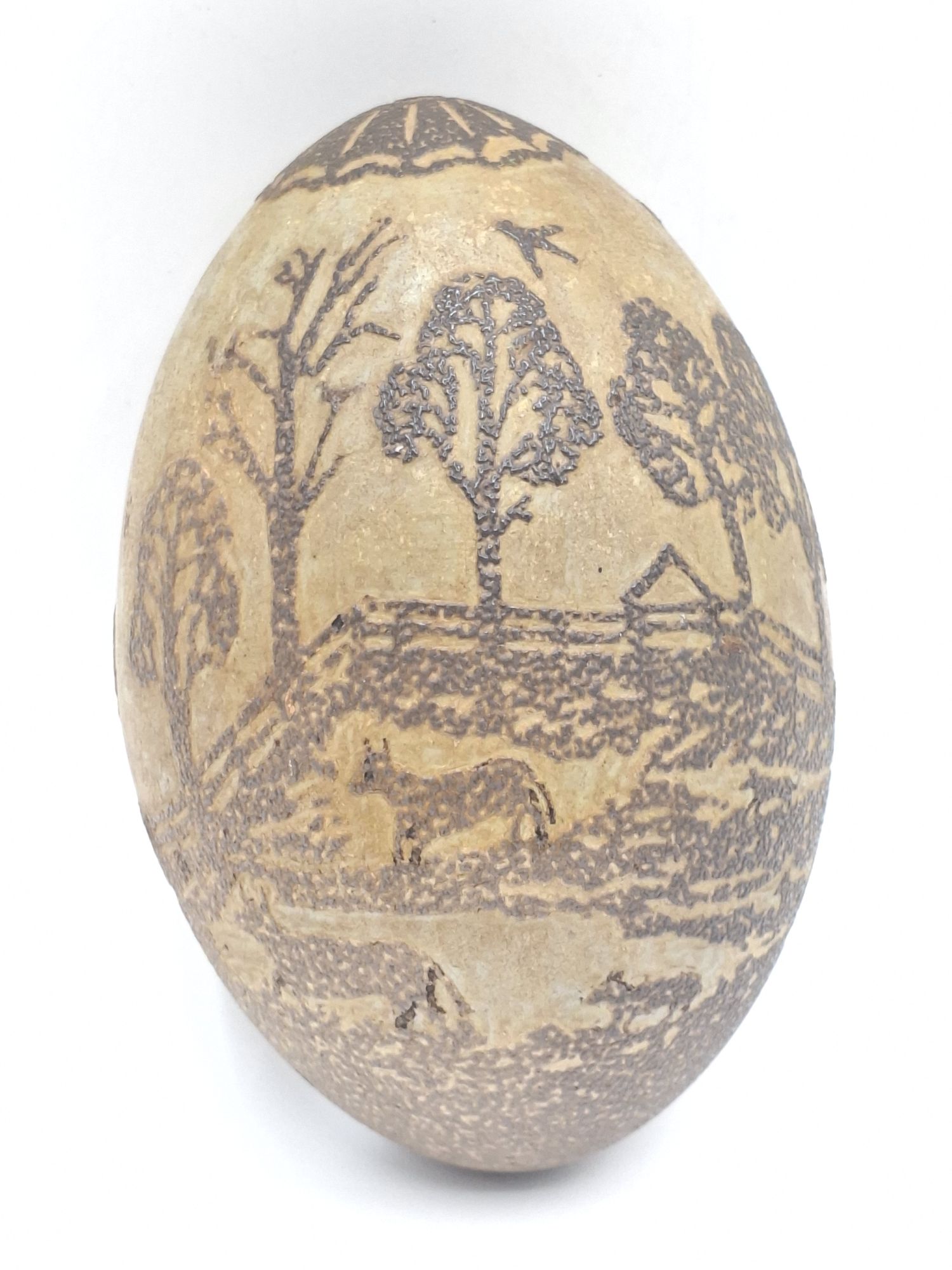 Vintage Carved Emu Egg