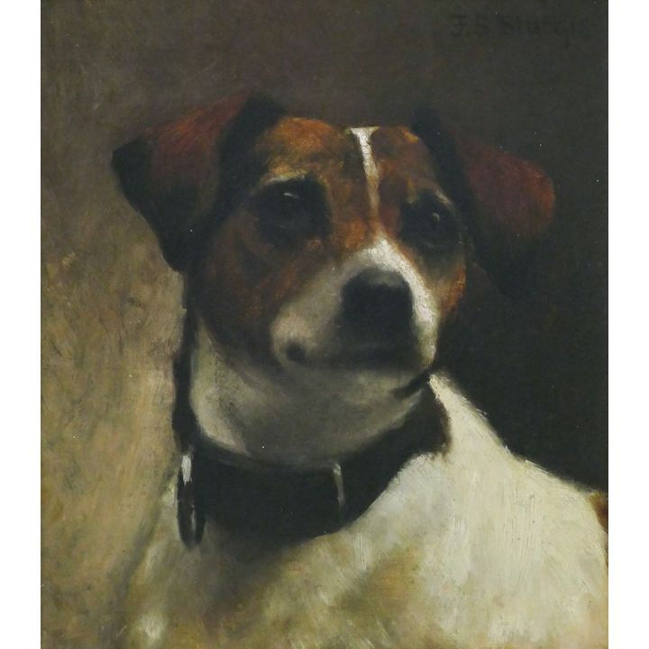 F.S. Sturgis ''Jack Russel Dog Portrait'' Oil
