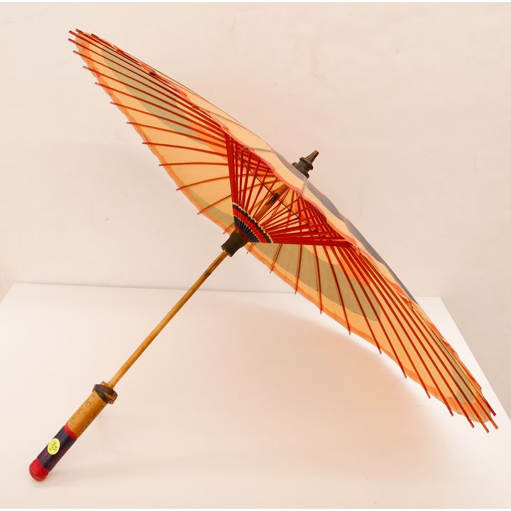 1933 Chicago World's Fair Parasol- 24''