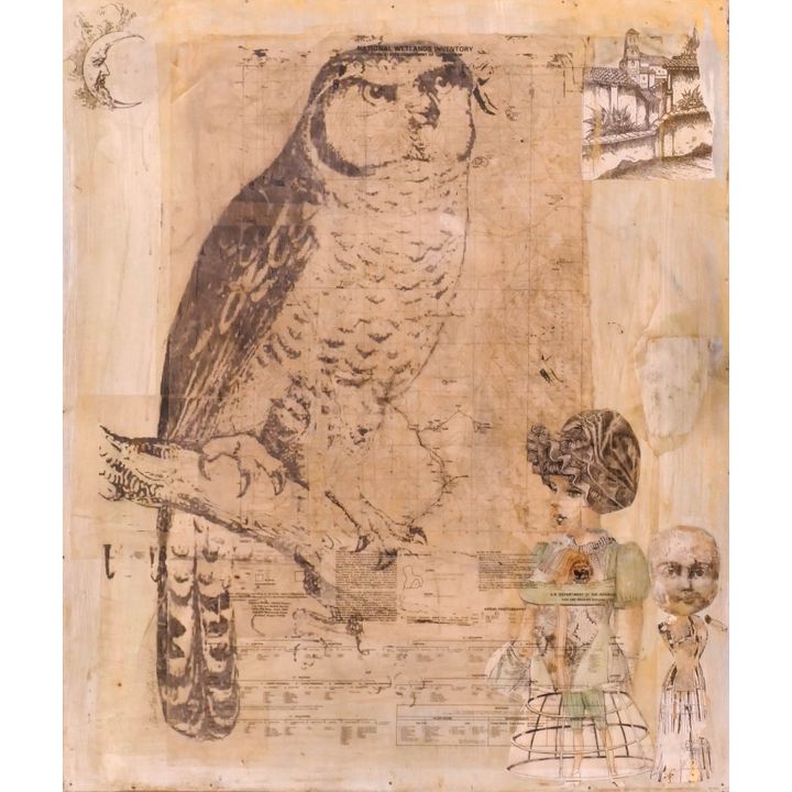 Anne Grgich ''Owl Etc.'' 2017 Mixed Media