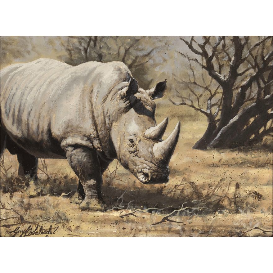 Guy Coheleach (1933- ), Rhino